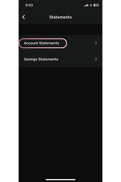Cash App account statements screen showing available monthly statements for download
