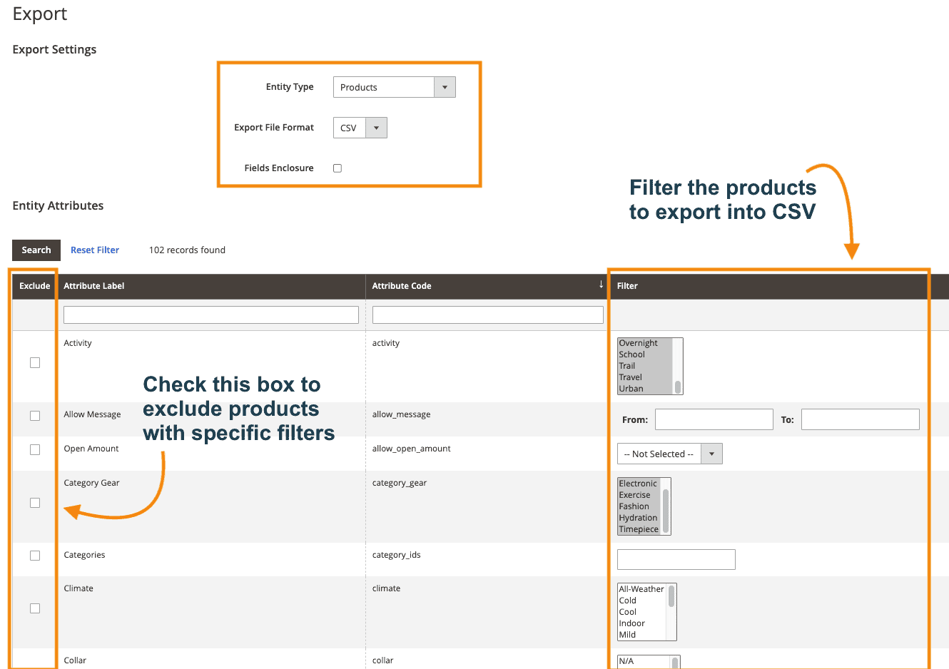 Magento 2 export configuration page with Entity Type dropdown set to Products and CSV file format selected