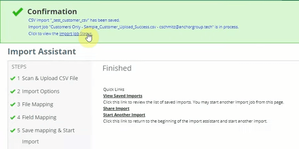 NetSuite CSV import confirmation message showing successful import completion