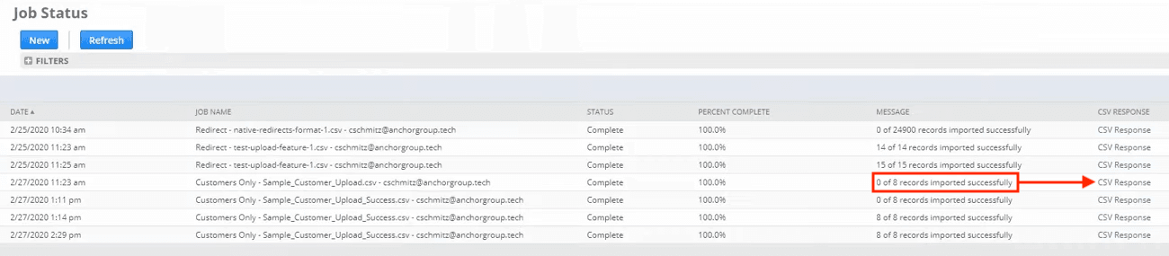 NetSuite Import Job Status page showing completed import with status details