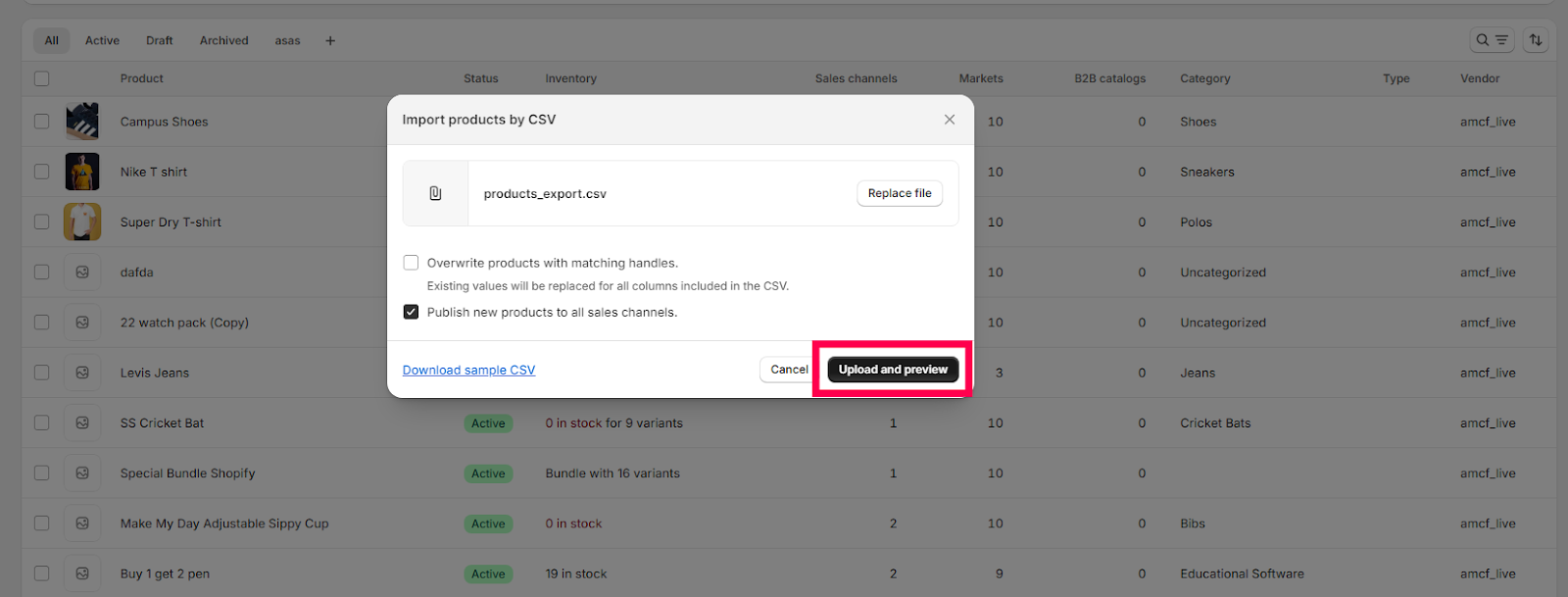 Shopify import preview showing detected products and variants count